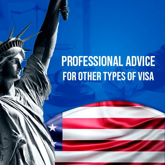 Professional Advice for other types of Visa