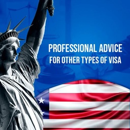 Professional Advice for other types of Visa